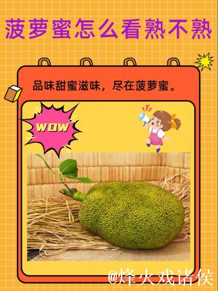 无法观看菠萝蜜视频的解决方案 无法观看菠萝蜜视频的解决方案